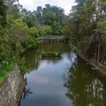 Los Lagos 18