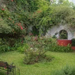 Museo casa xalapa 10