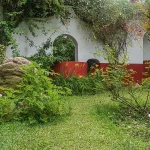 Museo casa xalapa 8