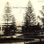 Parque juarez antiguo 7