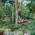 Parque los tecajetes 6