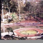 Parque los tecajetes antiguo 8