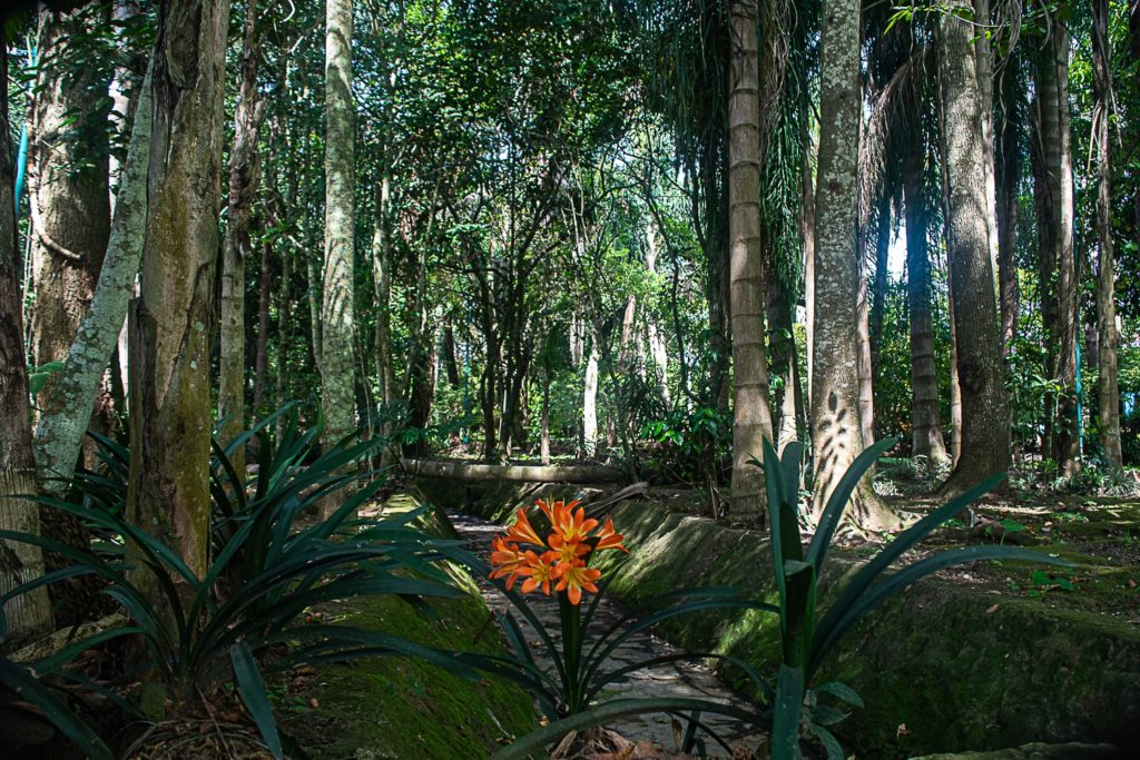 parque del Huarache